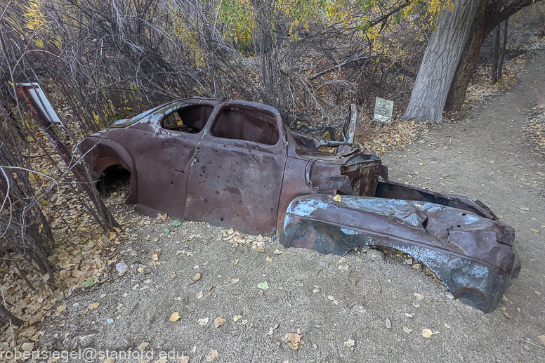 Big Morongo Canyon